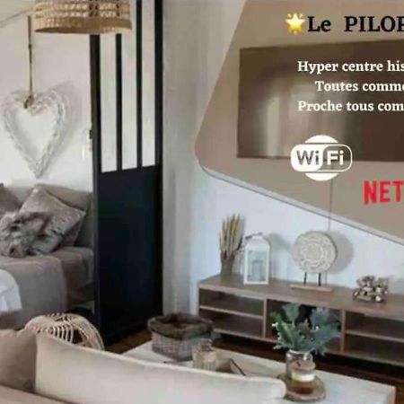 Le Pilori - Centre Historique, En Face Du Musee Du Pilori, A 2Mn A Pied De L'Hyper Centre Et Proche Toutes Commodites, Wifi-Netflix Niort Eksteriør billede
