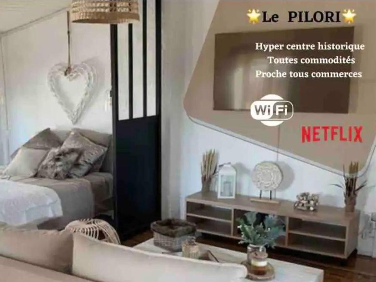 Le Pilori - Centre Historique, En Face Du Musee Du Pilori, A 2Mn A Pied De L'Hyper Centre Et Proche Toutes Commodites, Wifi-Netflix Niort Eksteriør billede